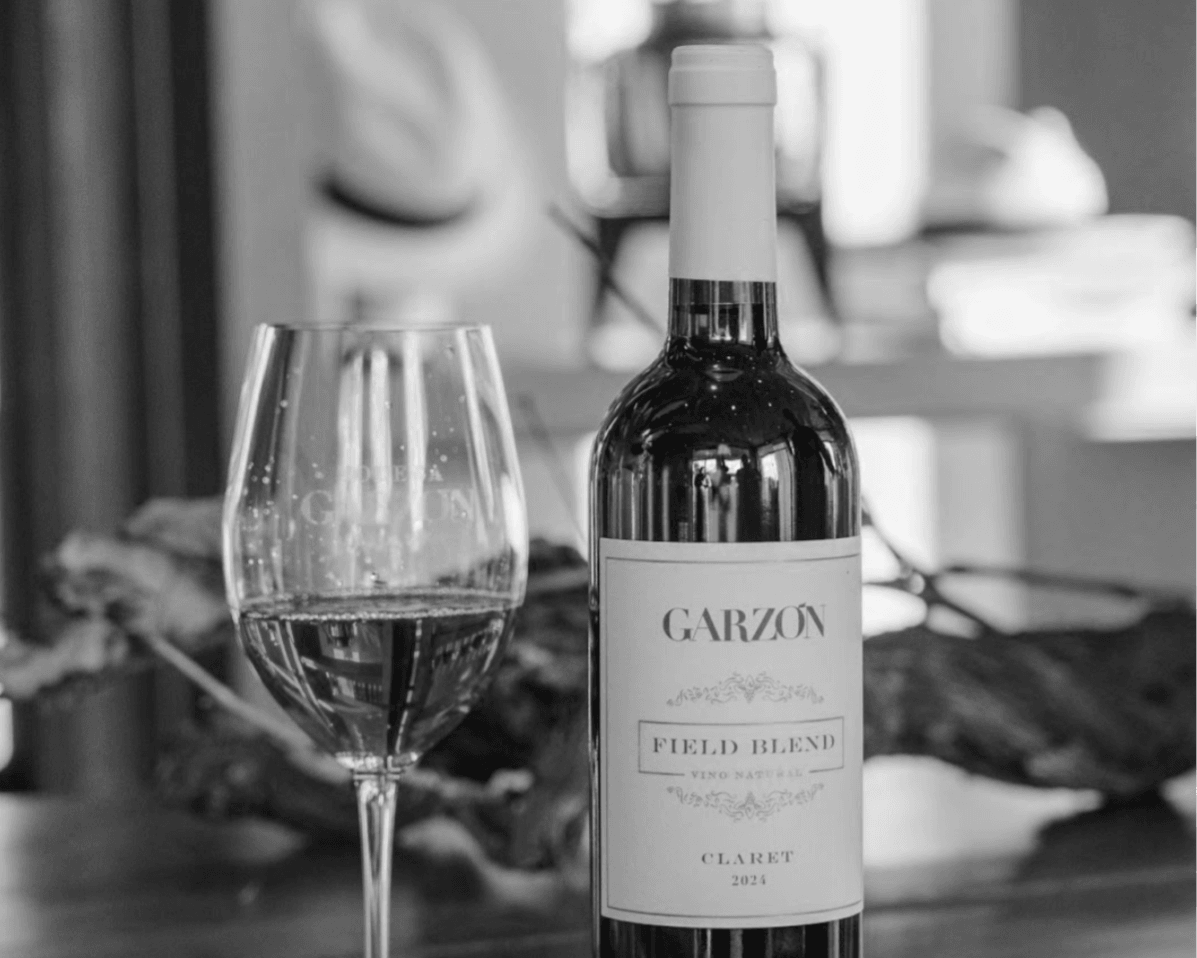 O RIVAL DO PINOT NOIR