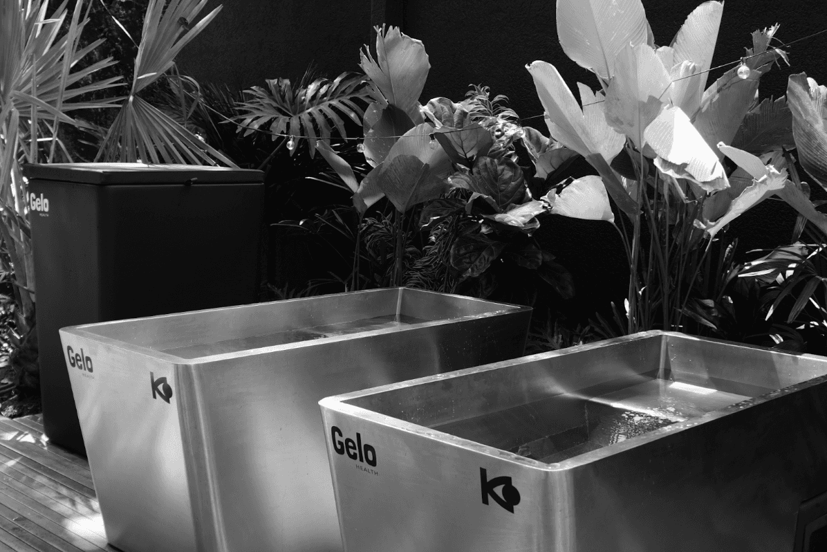 O PRIMEIRO WELLNESS CLUB DE SÃO PAULO: PARA SOCIALIZAR E CONGELAR