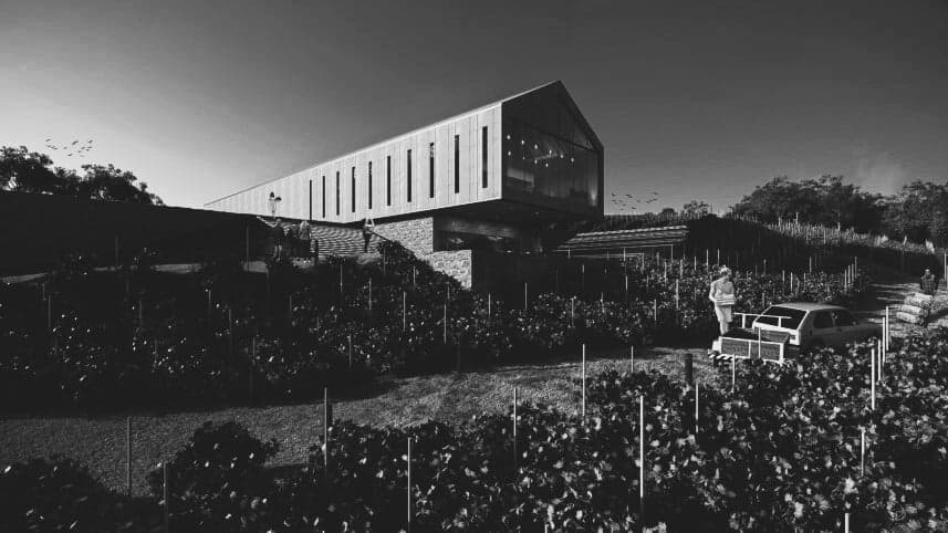 A VINÍCOLA CASA TÉS É A NOVA QUERIDINHA EM SP